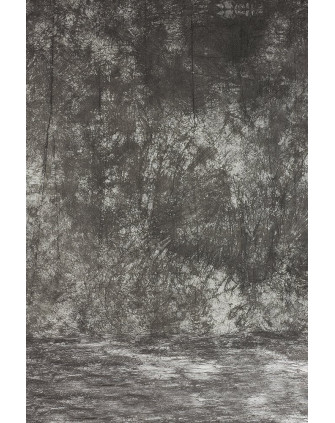 Фон бумажный GRIFON 2,72х10 тёмно-серый TI ( 57 ) фото Fotogrifon