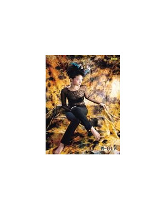 Фотофон W-017 (270х500см) тканевый