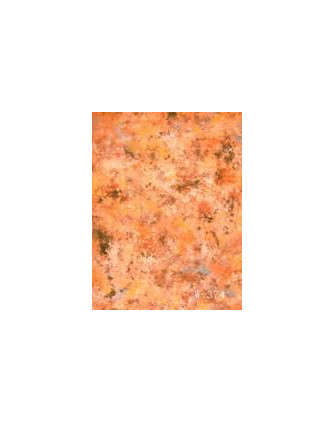 Фотофон W-374 (270х500см) тканевый