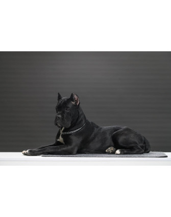 Фон бумажный GRIFON 2.7 х 10 серо-зелёный (10) Н/К слежавшийся волной фото Fotogrifon